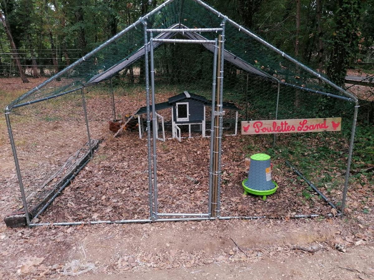 7-Gite-7 Personnes Au Coeur De La Nature /Piscine Saint-Aubin-de-Nabirat Exteriér fotografie